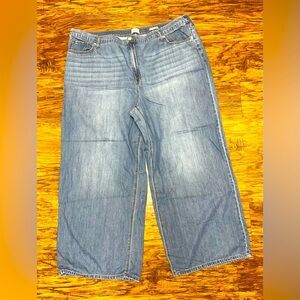 Wonderly Wide Leg Pants Size 22